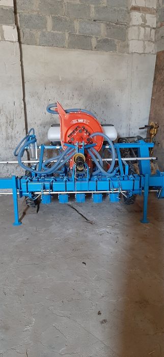 Usluga siewu cebuli, marchwi i pietruszki