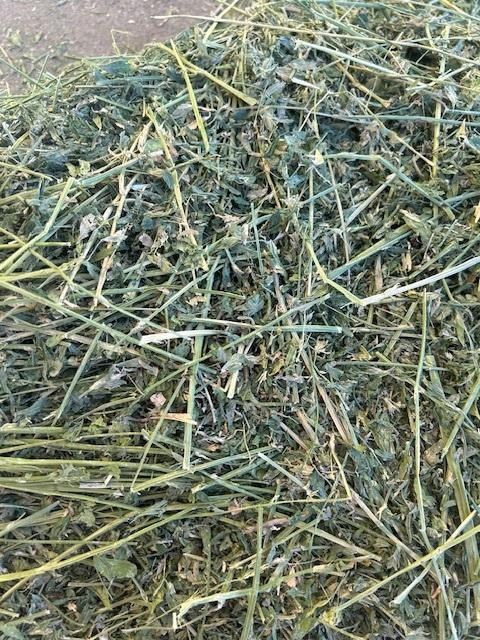 Сено в тюках с доставкой, сіно полевое, люцерна, солома пшеничная