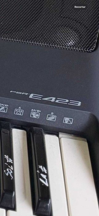 Instrumentos musicais