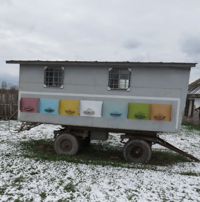 Павільйон пасіка з бджолою (14 сімей)