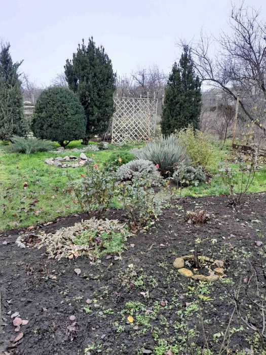 Продам дом-дачу в Светлом. р8