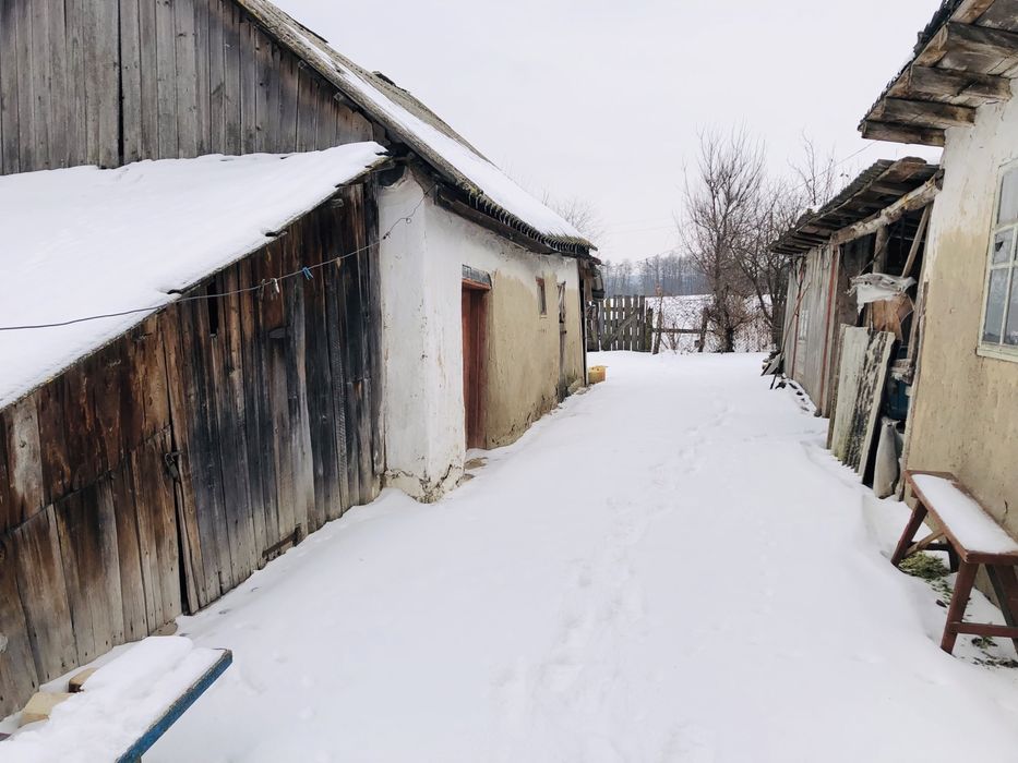 Продам будинок Козин