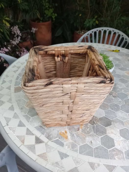 Vaso verga para planta