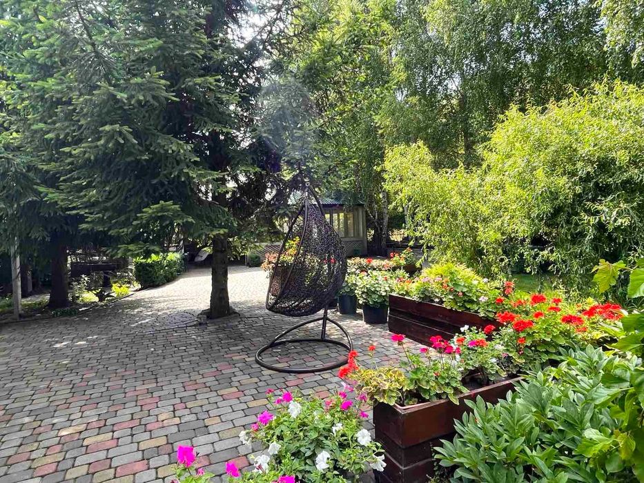 Будинок та бізнес (кафе) в одному місці с. Вільхи