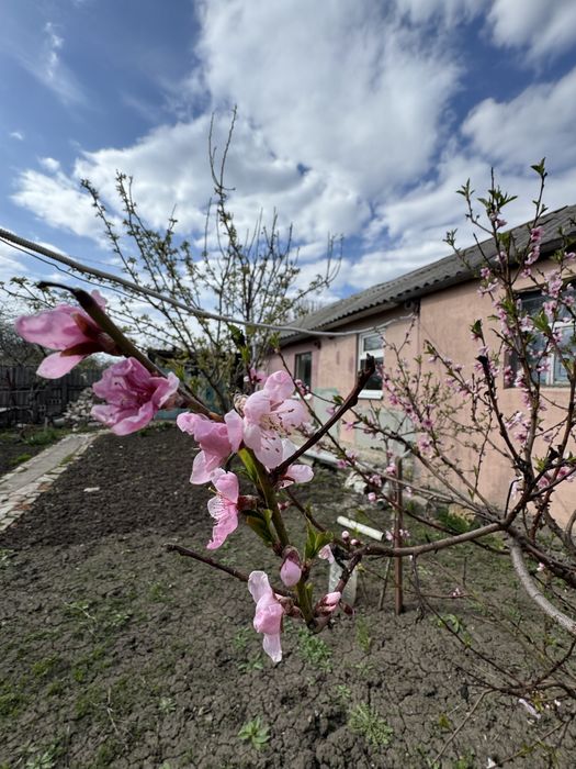 Продаж частини будинку в районі Олексіївки