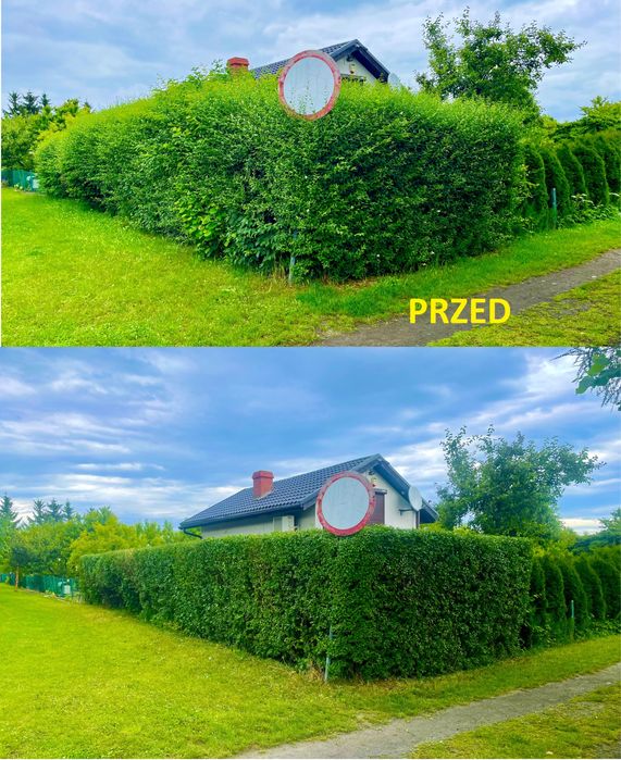 Kompleksowe usługi ogrodnicze