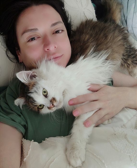 Віддам котика 1 рік