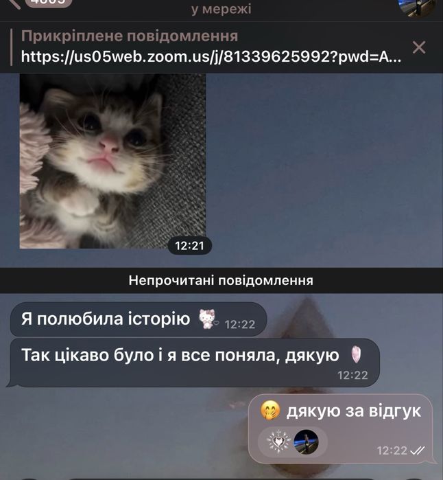 Підготовка до НМТ: українська та історія | результат 195+