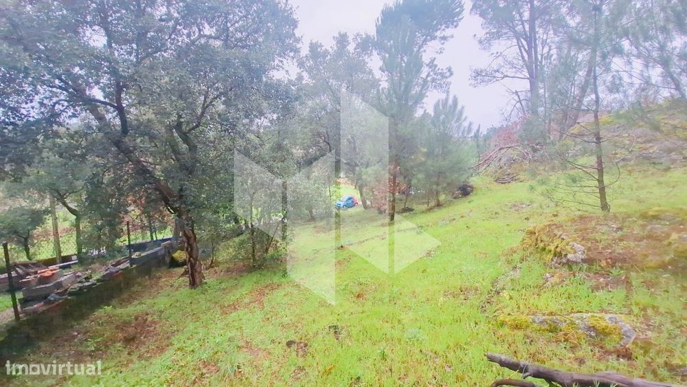 Terreno Para Construção  Venda em Parada de Gonta,Tondela