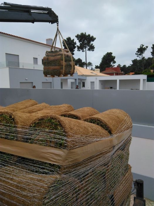 Relva tapete natural