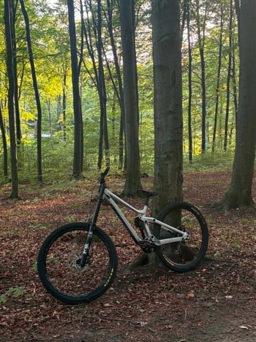 scott gambler 920 2020