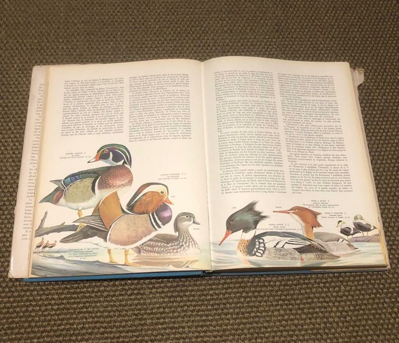 Livro anos edição anos 60 de pássaros