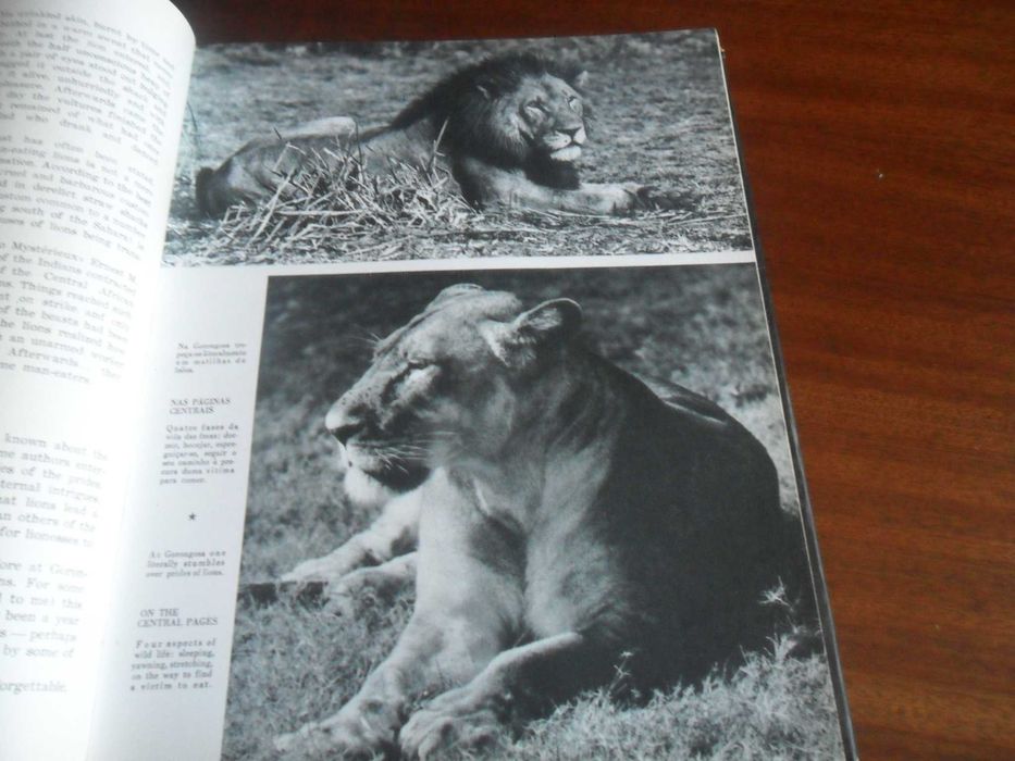 "Santuário Bravio- Wild Santuary" de José Maria d'Eça de Queiroz- 1964