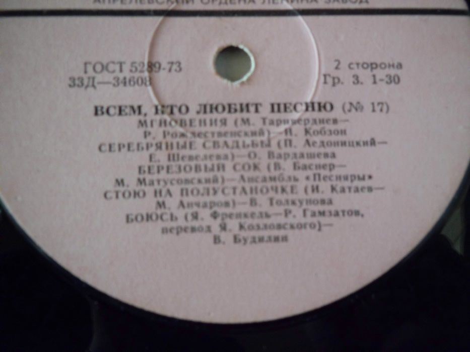 Виниловая пластинка
