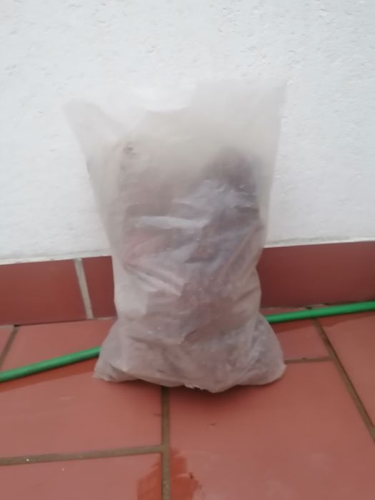 Vendo sacos de pinhas a 3 euros e meio cada saco