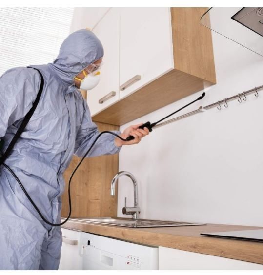 WECLEAN Elektryczny opryskiwacz ciśnieniowy prace ogrodowe i inne nowy