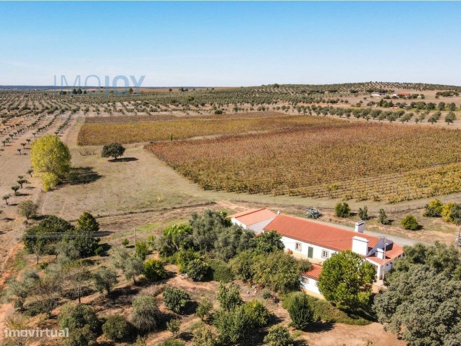 Quinta com Vinha e Excelente Localização em Avis