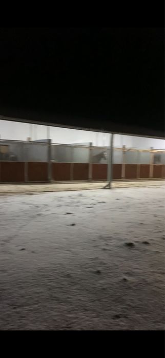 Pesjonat dla koni wolne boksy!!!