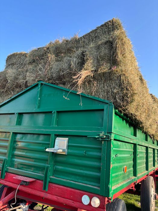 Siano, słoma, owies