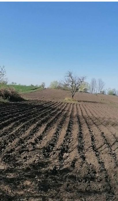 Продаж землі Коханівка