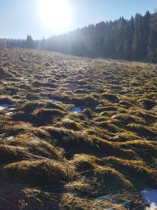 Продається будинок із земельною ділянкою