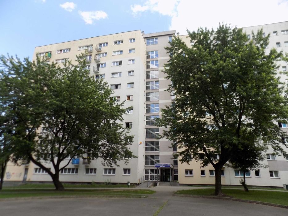Zdjęcie 8