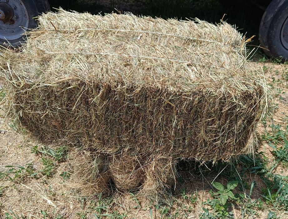 Продам Сіно в тюках