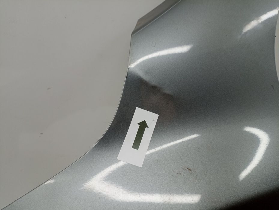 Guarda Lamas Esquerdo - NISSAN JUKE (F15) | 10 -