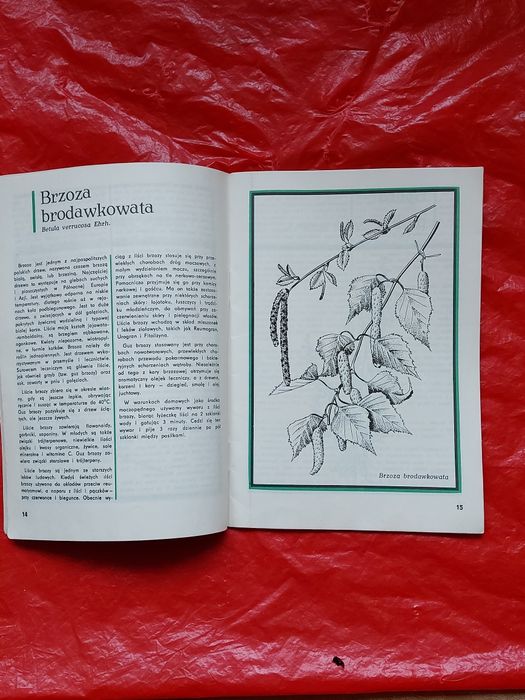 Książka ZIOŁA w DOMU