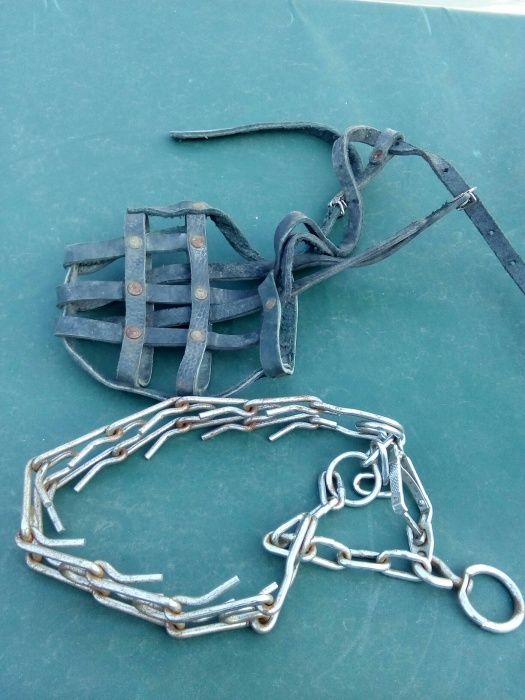 Строгач ошейник, намордник