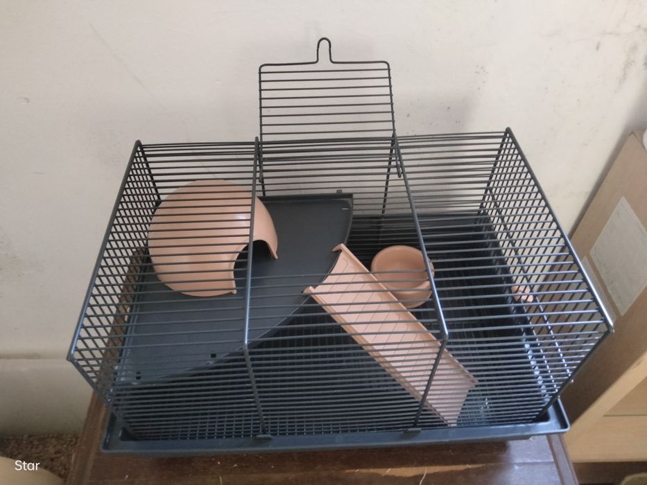 Gaiolas em ótimo estado para hamsters