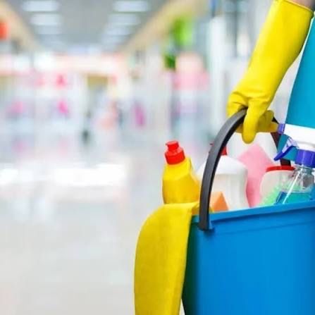 Domestic Helper Needed in Loures