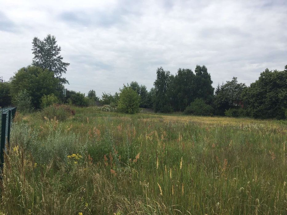 Княжичі. Земельна ділянка 4 га під житлову забудову!