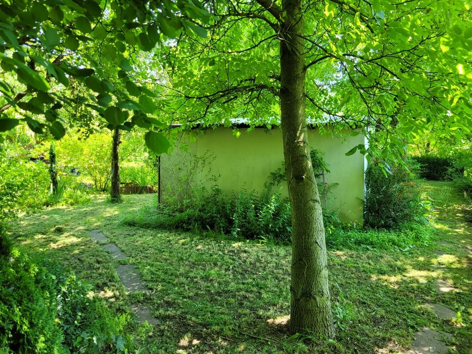 Działka rodo tulipan Legnica 4,80ar