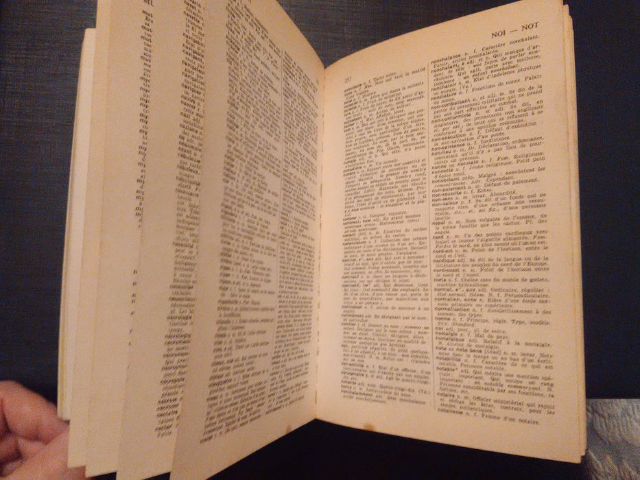 Dicionário Larousse de bolso de francês
