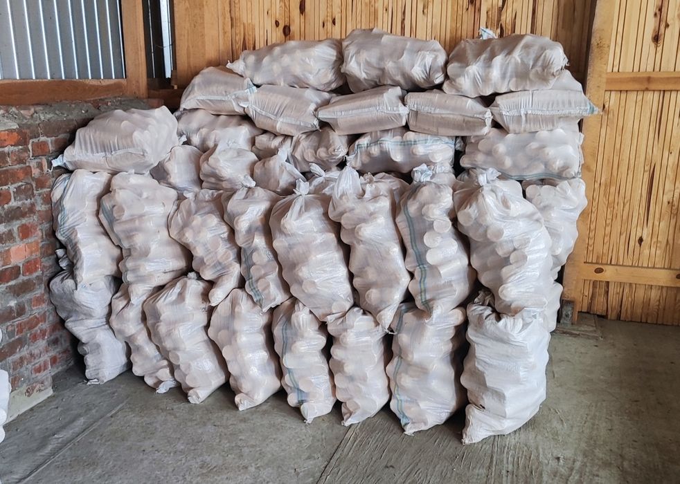 Брикети соснові Нестро 70мм