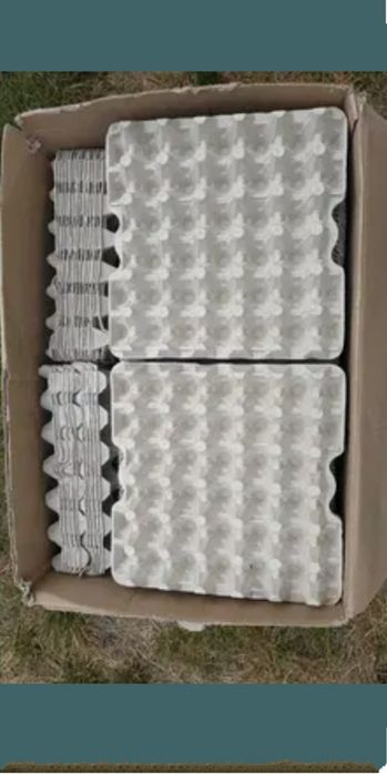 wytłaczanki na 30 jajka 140 szt. w PACZCE, wygłuszania