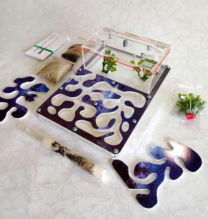 Муравьиная ферма (формикарий) «Anthouse». Полный комплект Space