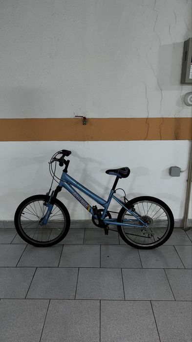 Medium-sized bicycle64751817385091120