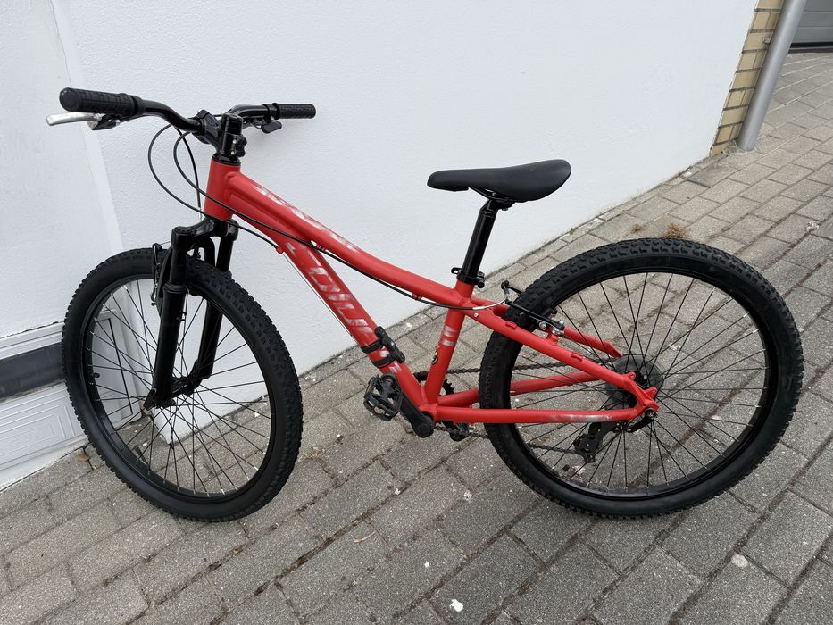 Coluer Ascent 241 roda 24