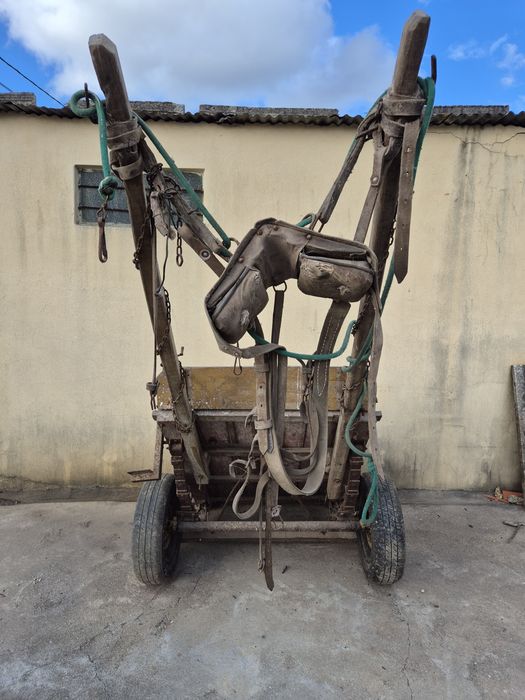 Carroça para burro com colete