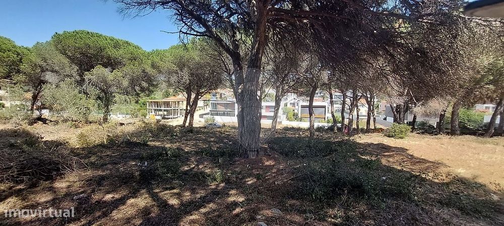 Terreno  para venda