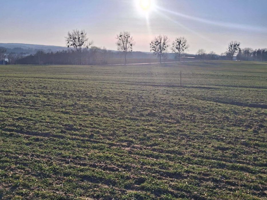 Działki z widokiem na jezioro - Widok 4