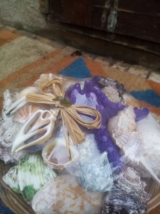 Набір для акваріума