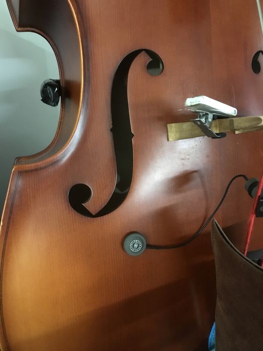 Shertler Dyn B Capatador para contrabaixo