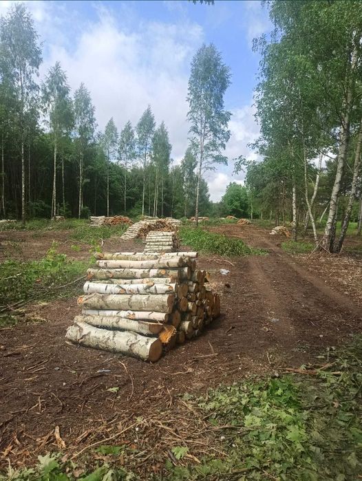 Brzoza, sosna, osika drewno opałowe kominkowe 1,25 pruszkow