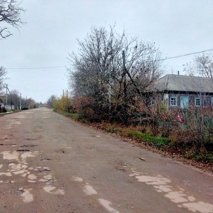 Продам дом в с.Осычки.Савранского района.