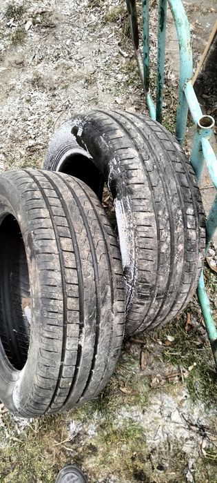 Opony zimowe 205/ 55/16