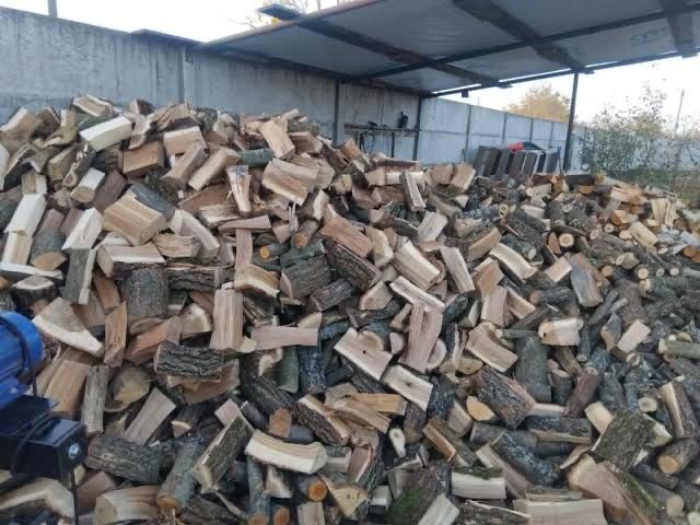 Акация,сосная,тополь,дуб,ясень