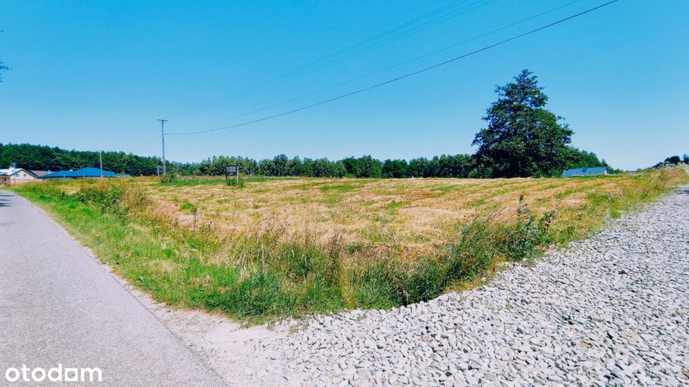 Borówki-Lasek, działka z WZ przy drodze powiatowej - Widok 5